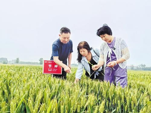 國家級展會賦能，洞見中國種業發展的新機遇