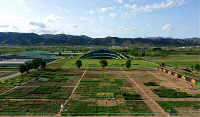 蒙草生態上市十周年 以種業為本，科研當先，深耕生態修復的“中國草”